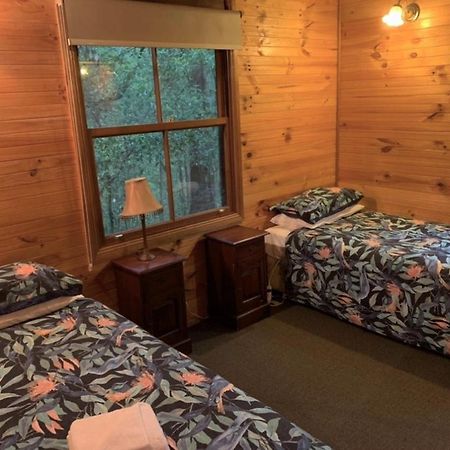 Springbrook Mountain Chalets Eksteriør bilde
