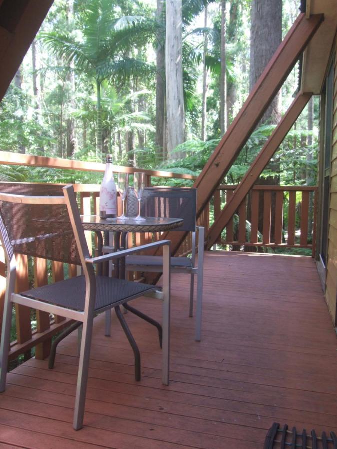 Springbrook Mountain Chalets Eksteriør bilde