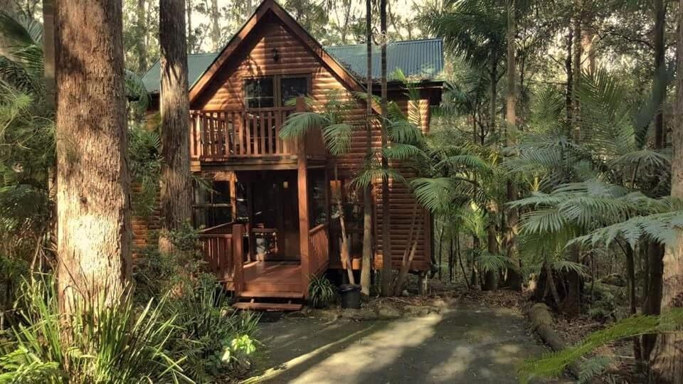 Springbrook Mountain Chalets Eksteriør bilde