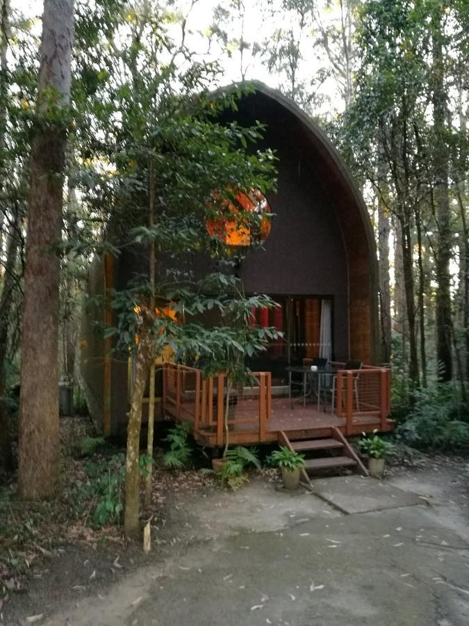 Springbrook Mountain Chalets Eksteriør bilde