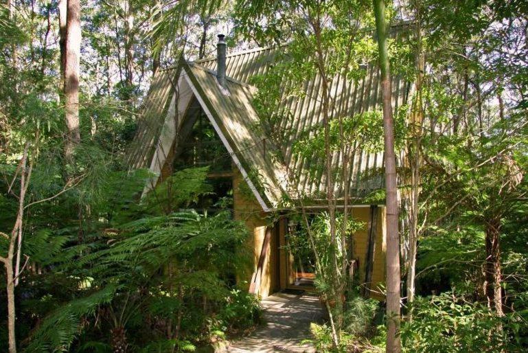 Springbrook Mountain Chalets Rom bilde
