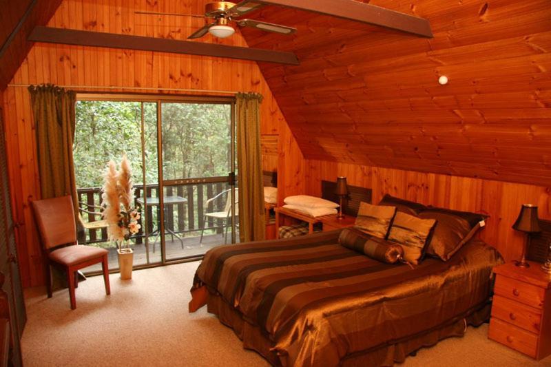 Springbrook Mountain Chalets Rom bilde