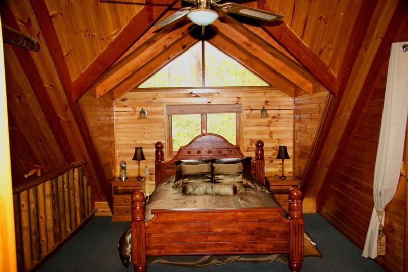 Springbrook Mountain Chalets Rom bilde