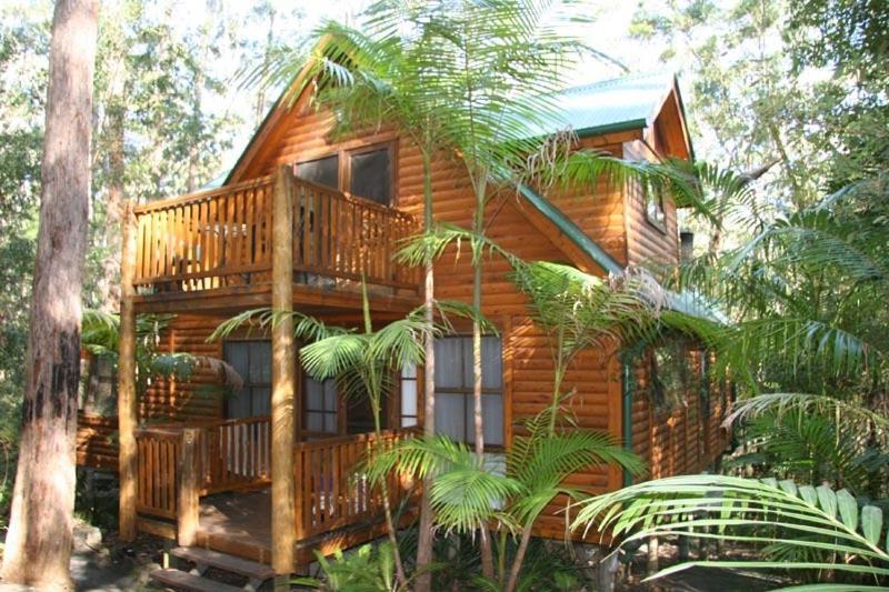 Springbrook Mountain Chalets Rom bilde