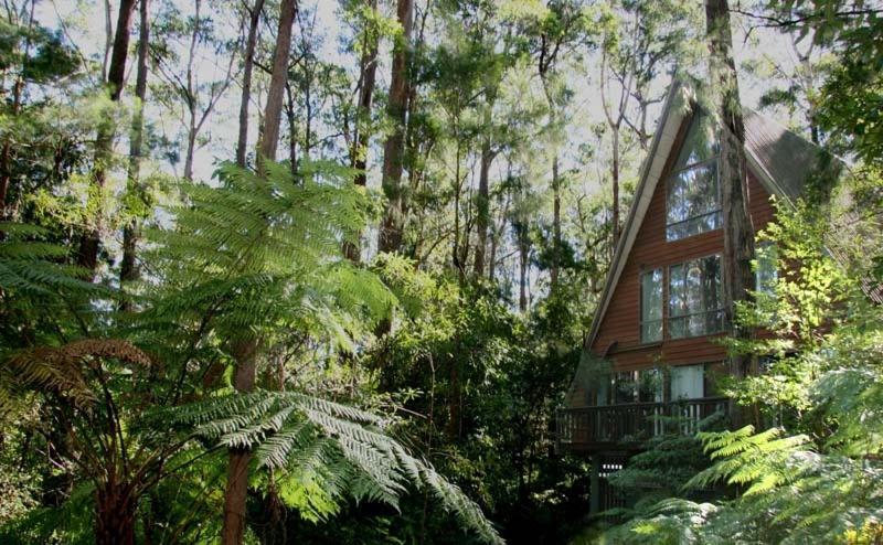 Springbrook Mountain Chalets Eksteriør bilde