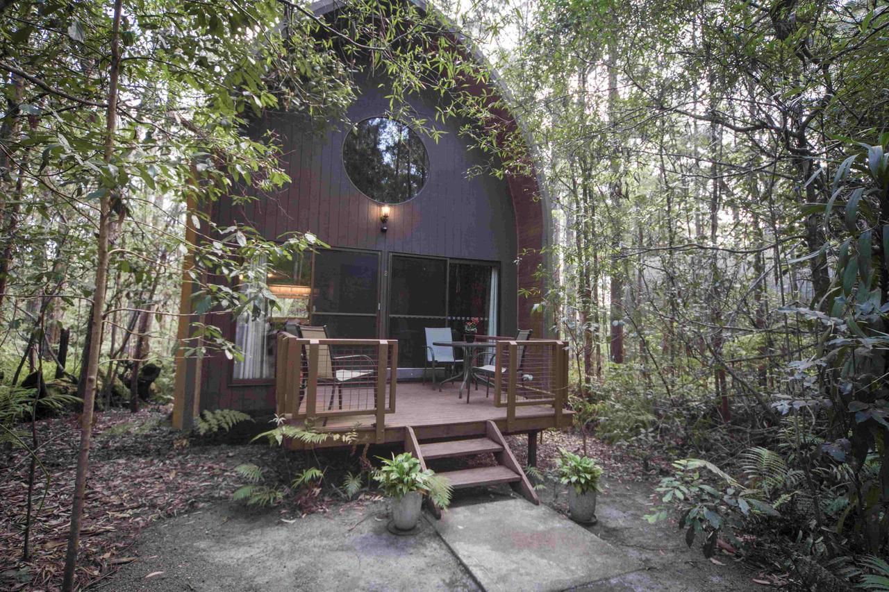 Springbrook Mountain Chalets Rom bilde