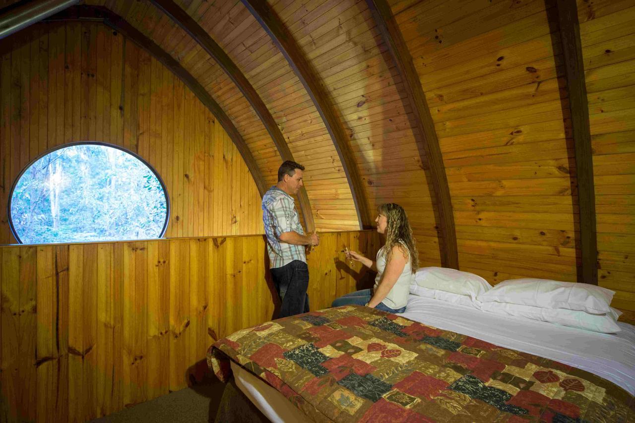 Springbrook Mountain Chalets Rom bilde