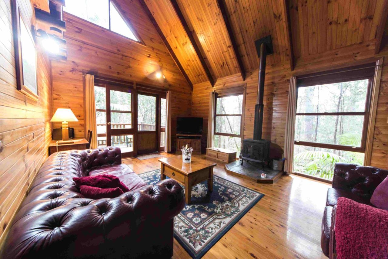 Springbrook Mountain Chalets Eksteriør bilde